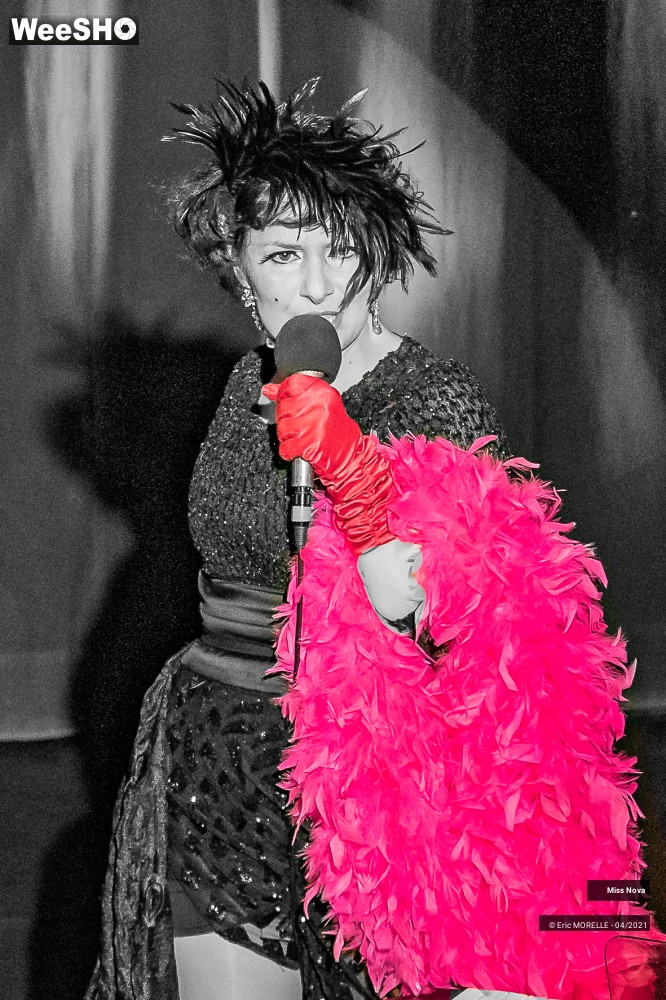 8/50 photos du spectacle Folle in Love
