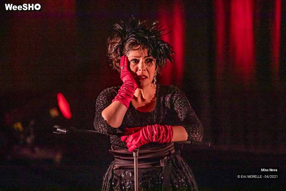 30/50 photos du spectacle Folle in Love
