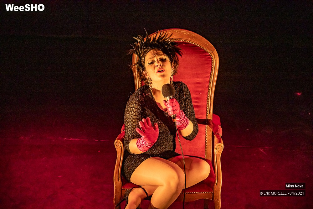 42/50 photos du spectacle Folle in Love