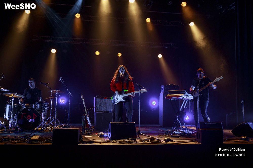 1/17 photos du spectacle Francis of Delirium