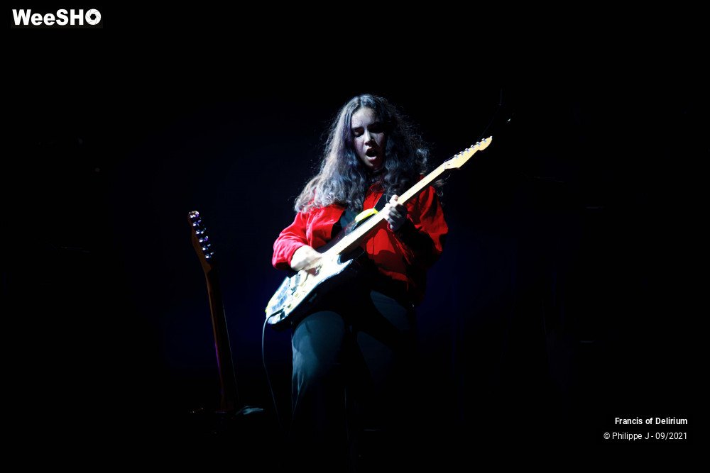 16/17 photos du spectacle Francis of Delirium