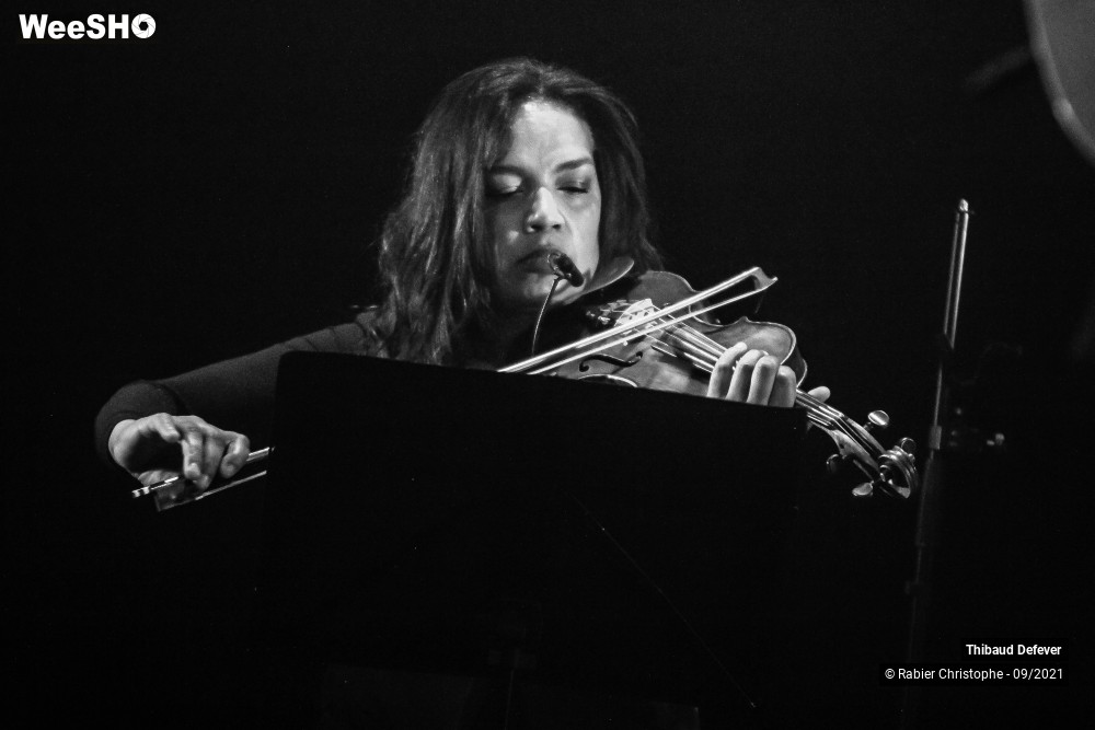 31/44 photos du spectacle Thibaud Defever & Le Well Quartet