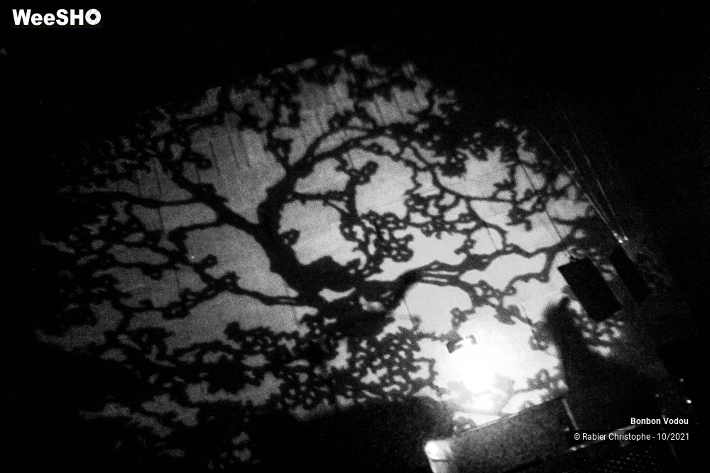 39/47 photos du spectacle Bonbon Vodou