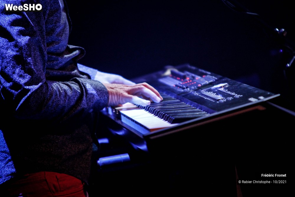 8/40 photos du spectacle Frederic Fromet