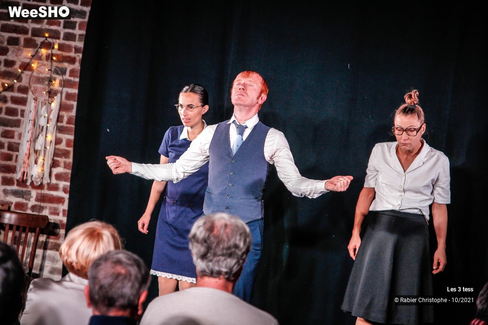 7/50 photos du spectacle Les 3 Tess