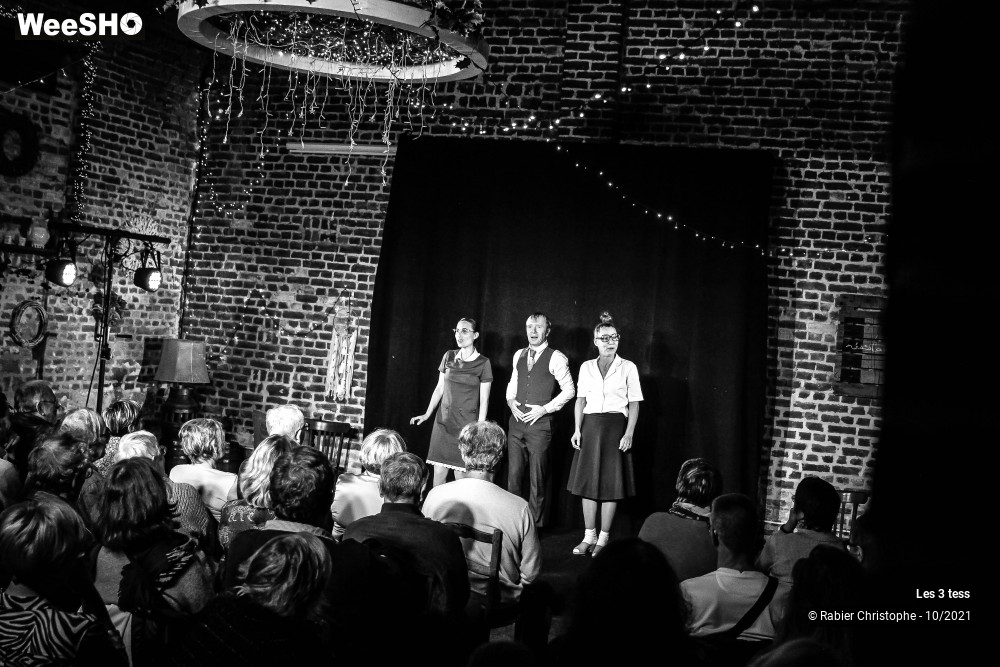 15/50 photos du spectacle Les 3 Tess