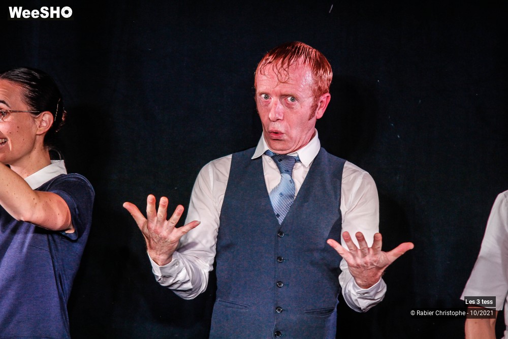 29/50 photos du spectacle Les 3 Tess