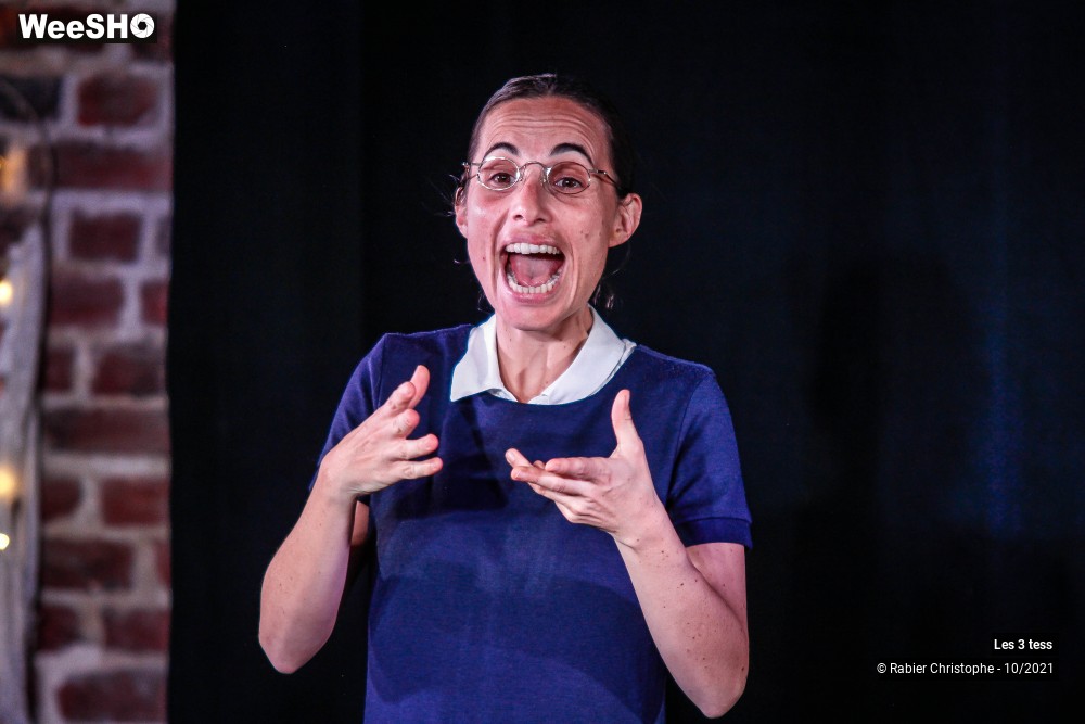 30/50 photos du spectacle Les 3 Tess