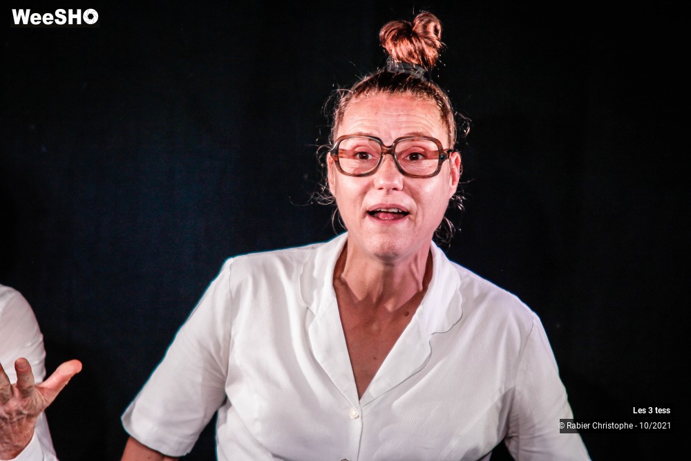 44/50 photos du spectacle Les 3 Tess
