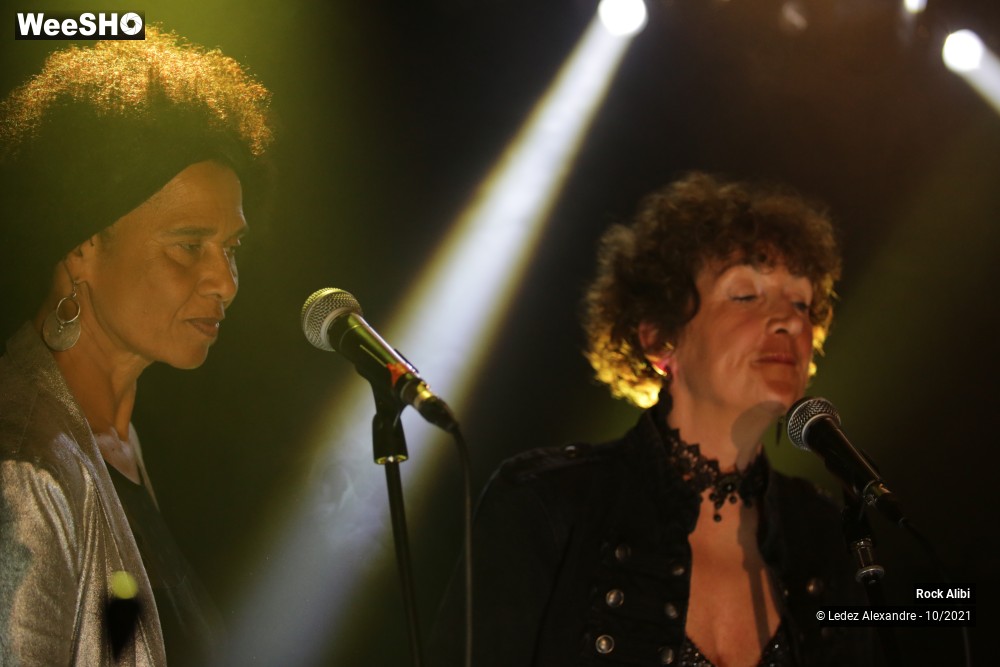 18/43 photos du spectacle Rock alibi
