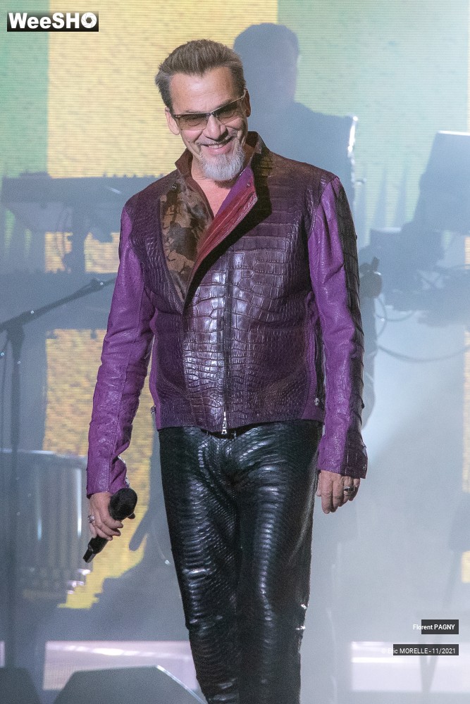 50/91 photos du spectacle Florent Pagny