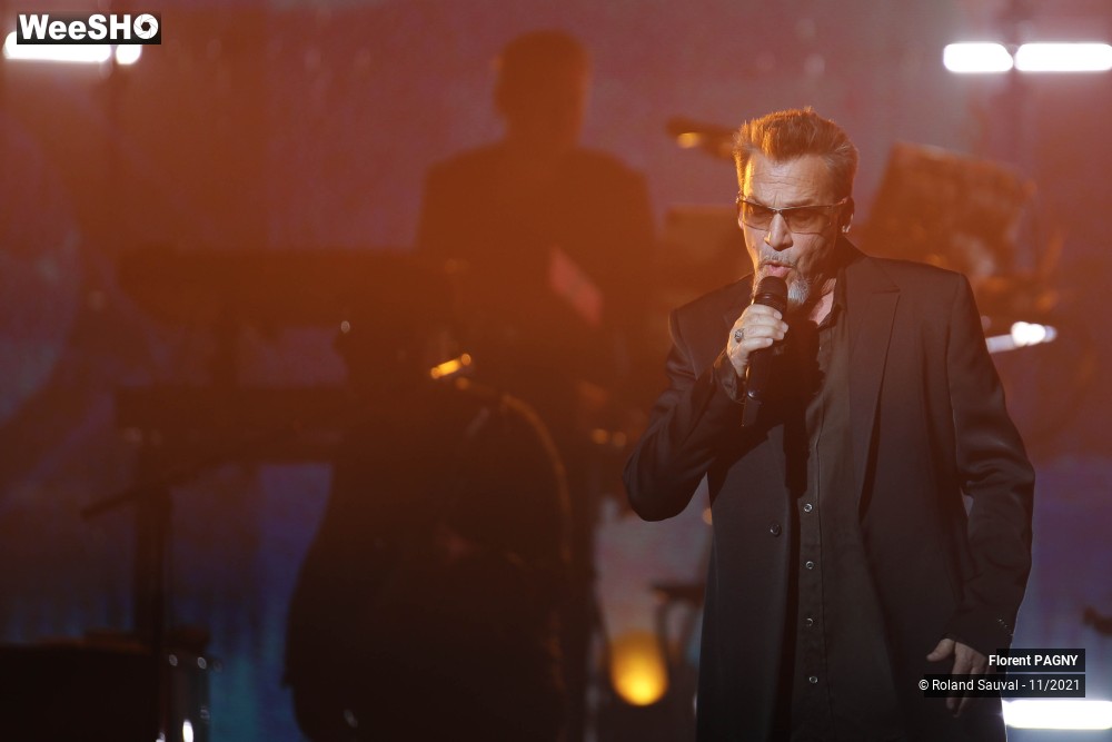21/43 photos du spectacle Florent Pagny