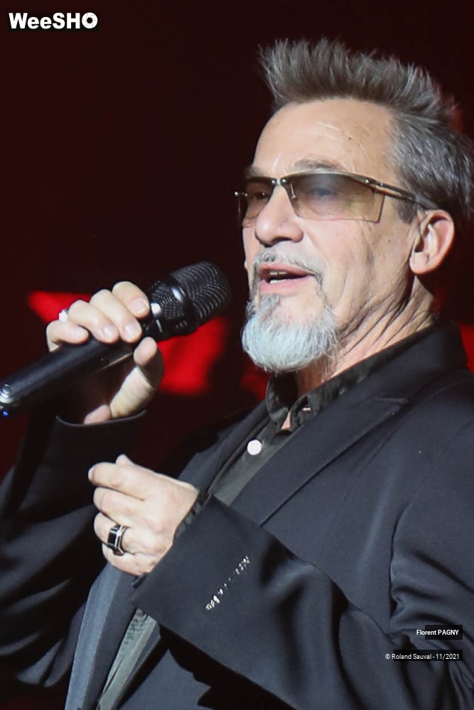 29/43 photos du spectacle Florent Pagny