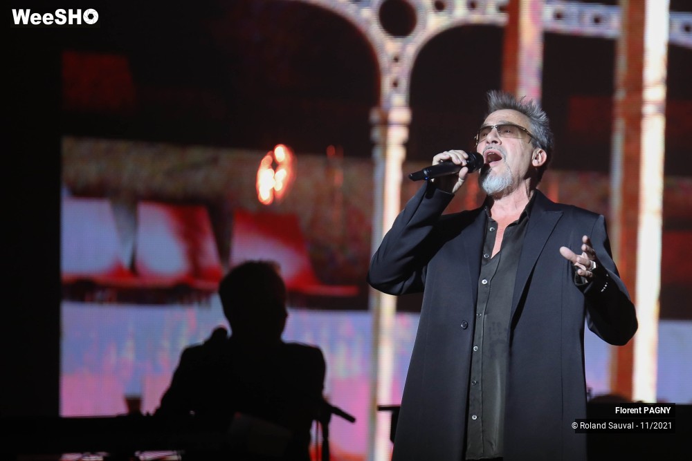 33/43 photos du spectacle Florent Pagny