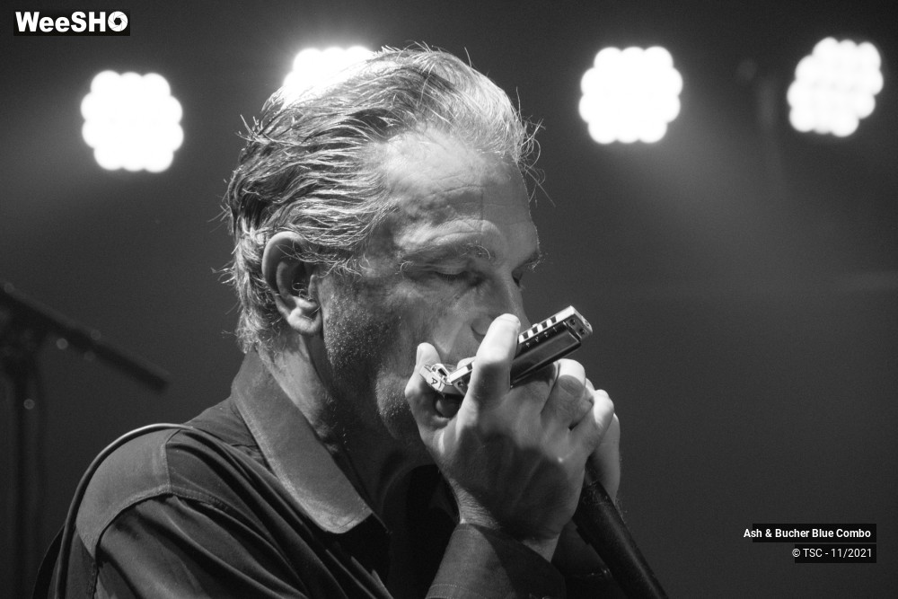 1/15 photos du spectacle Ash & Bucher Blue Combo