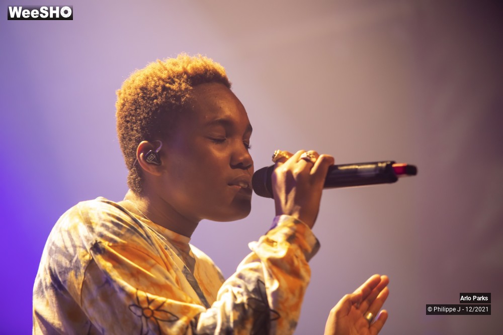 2/30 photos du spectacle Arlo Parks