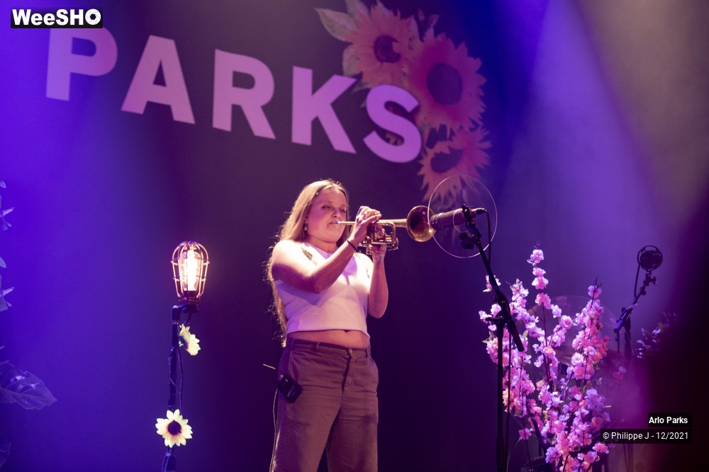 5/30 photos du spectacle Arlo Parks