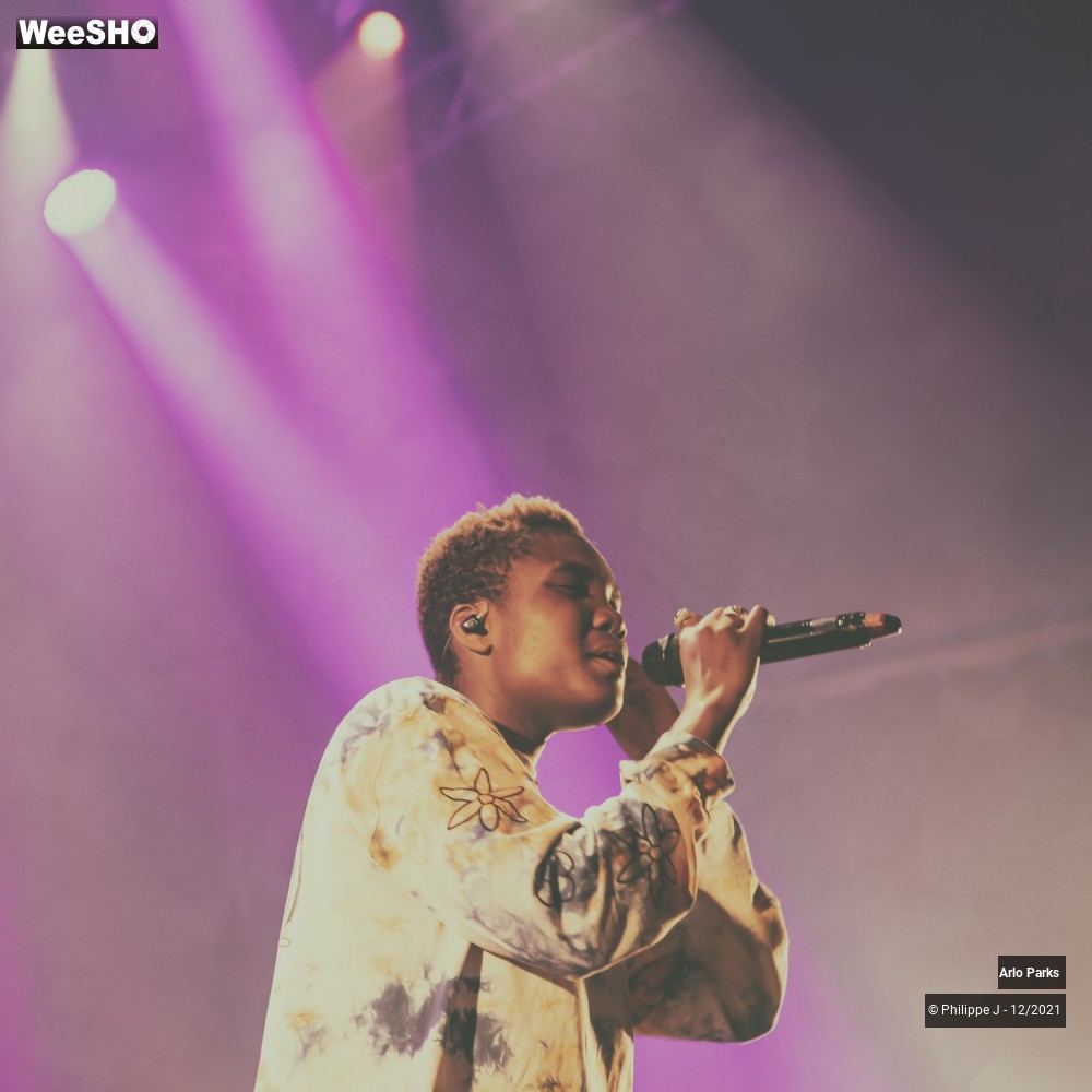 15/30 photos du spectacle Arlo Parks