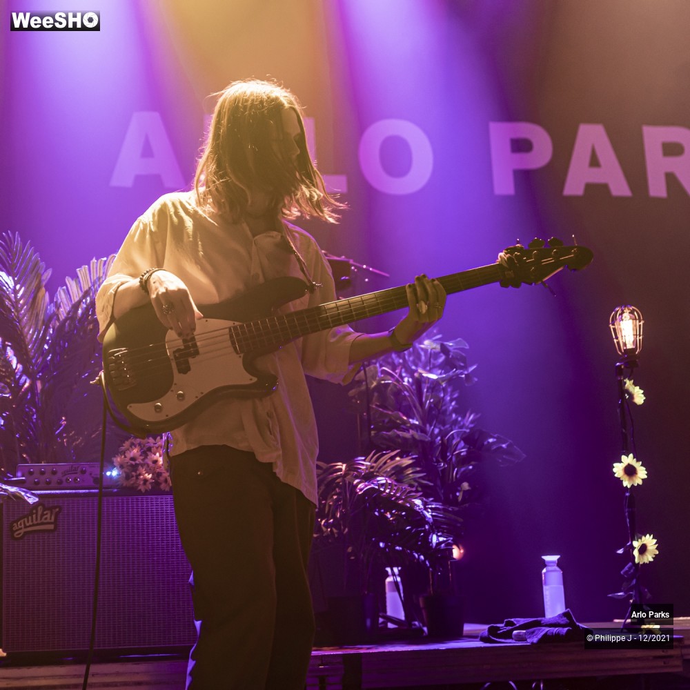 17/30 photos du spectacle Arlo Parks