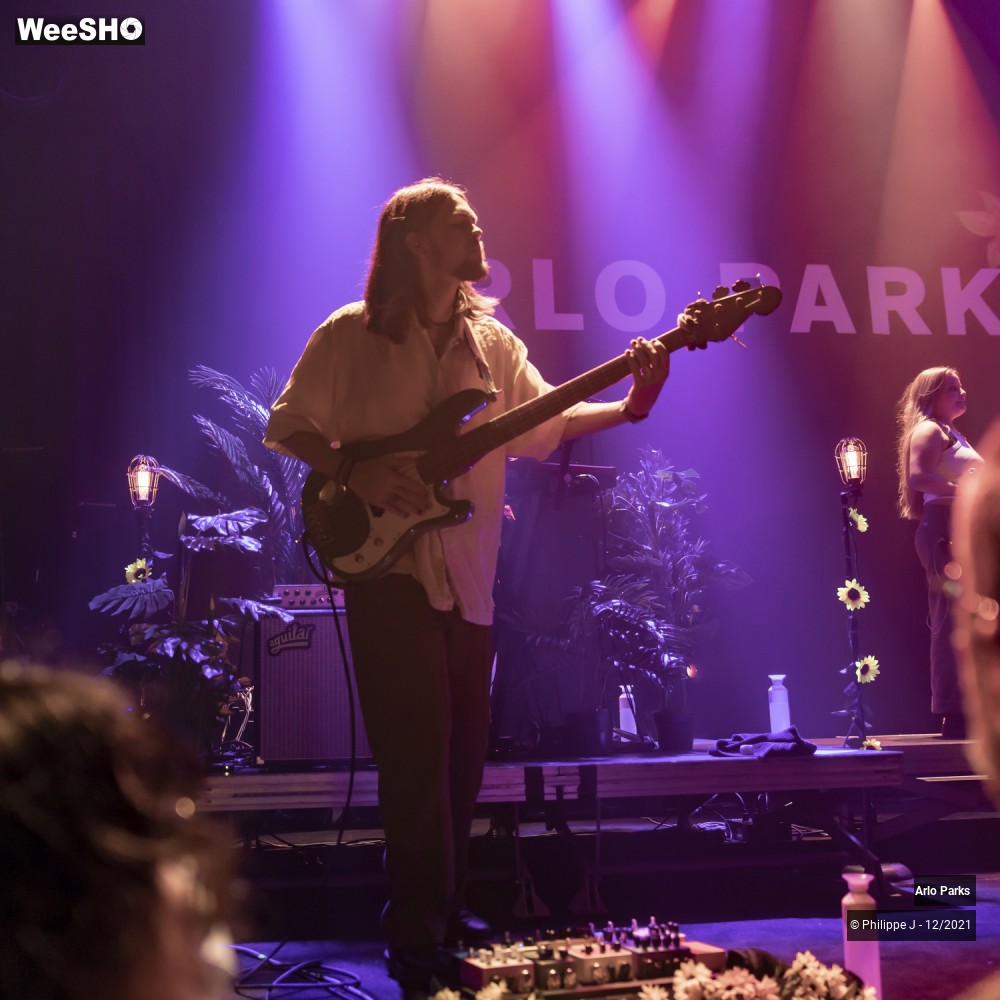 18/30 photos du spectacle Arlo Parks