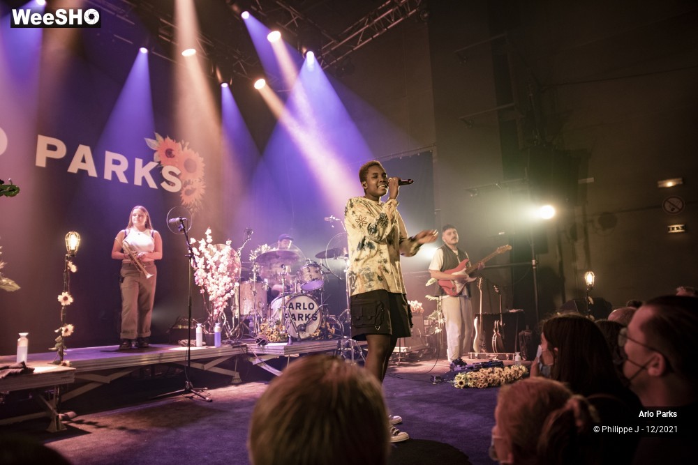 19/30 photos du spectacle Arlo Parks