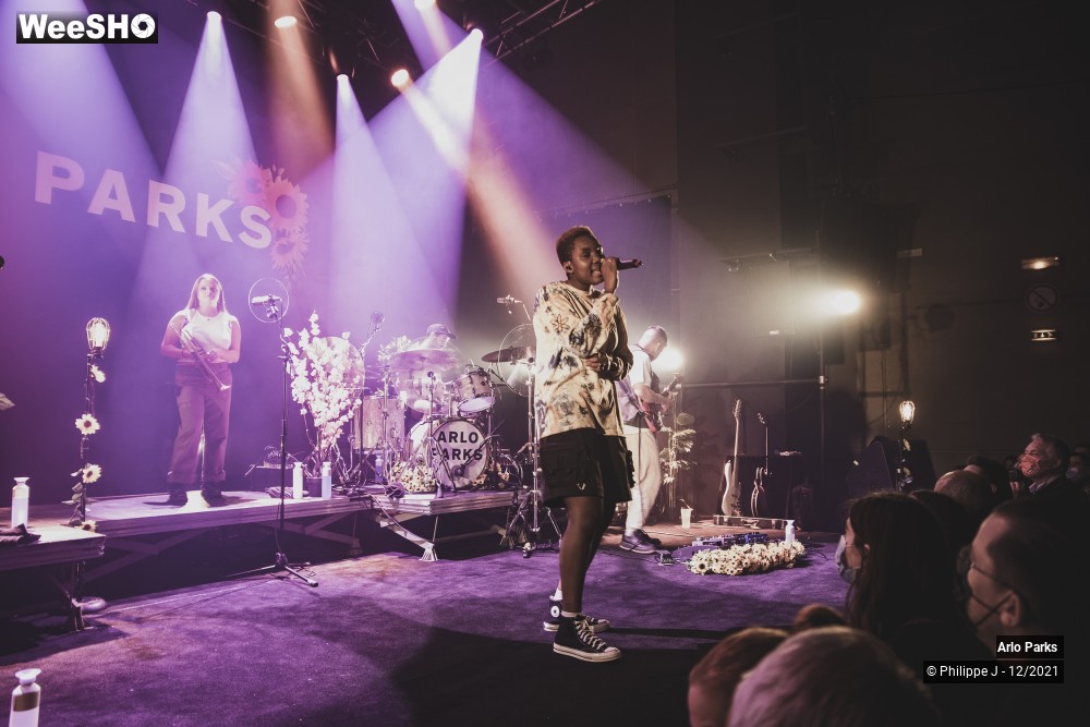 20/30 photos du spectacle Arlo Parks