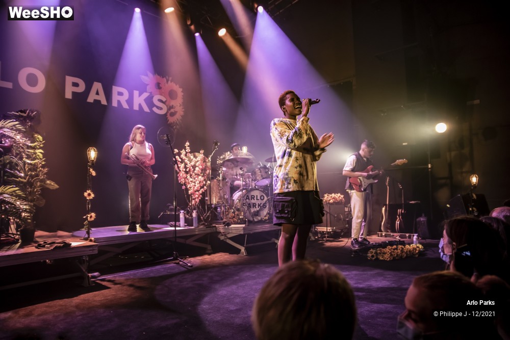 21/30 photos du spectacle Arlo Parks