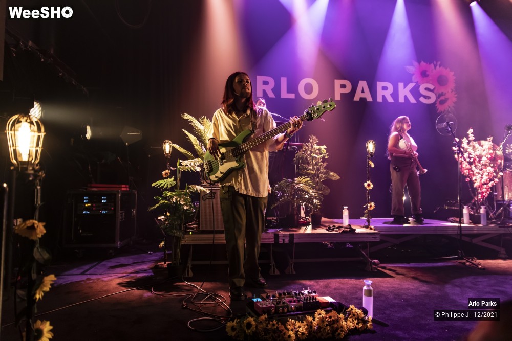 22/30 photos du spectacle Arlo Parks