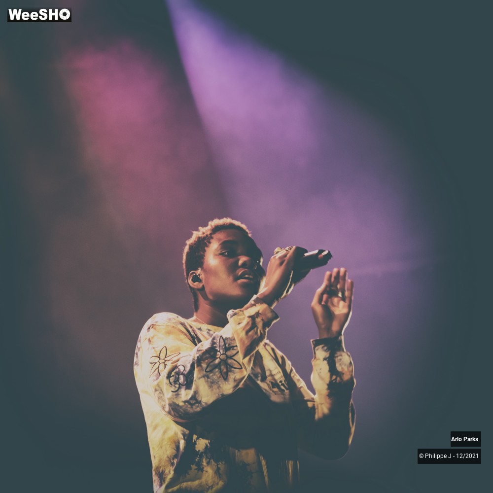 25/30 photos du spectacle Arlo Parks