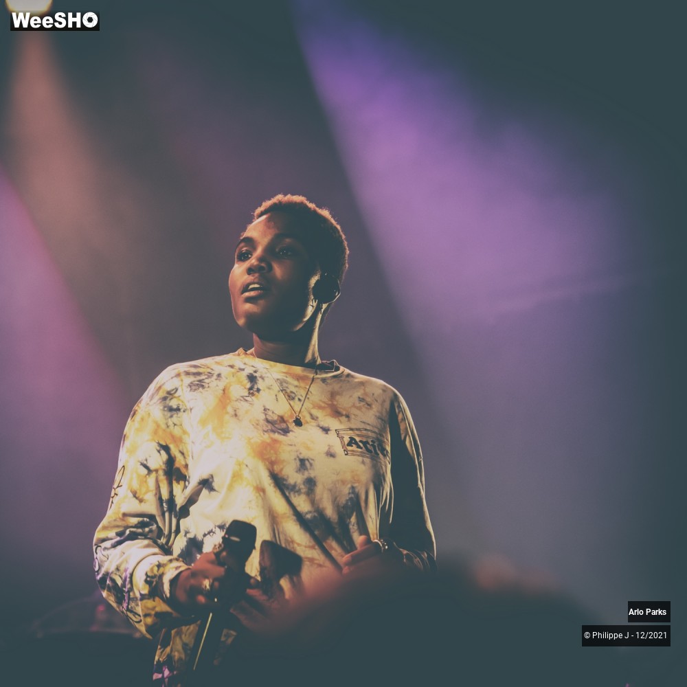 26/30 photos du spectacle Arlo Parks