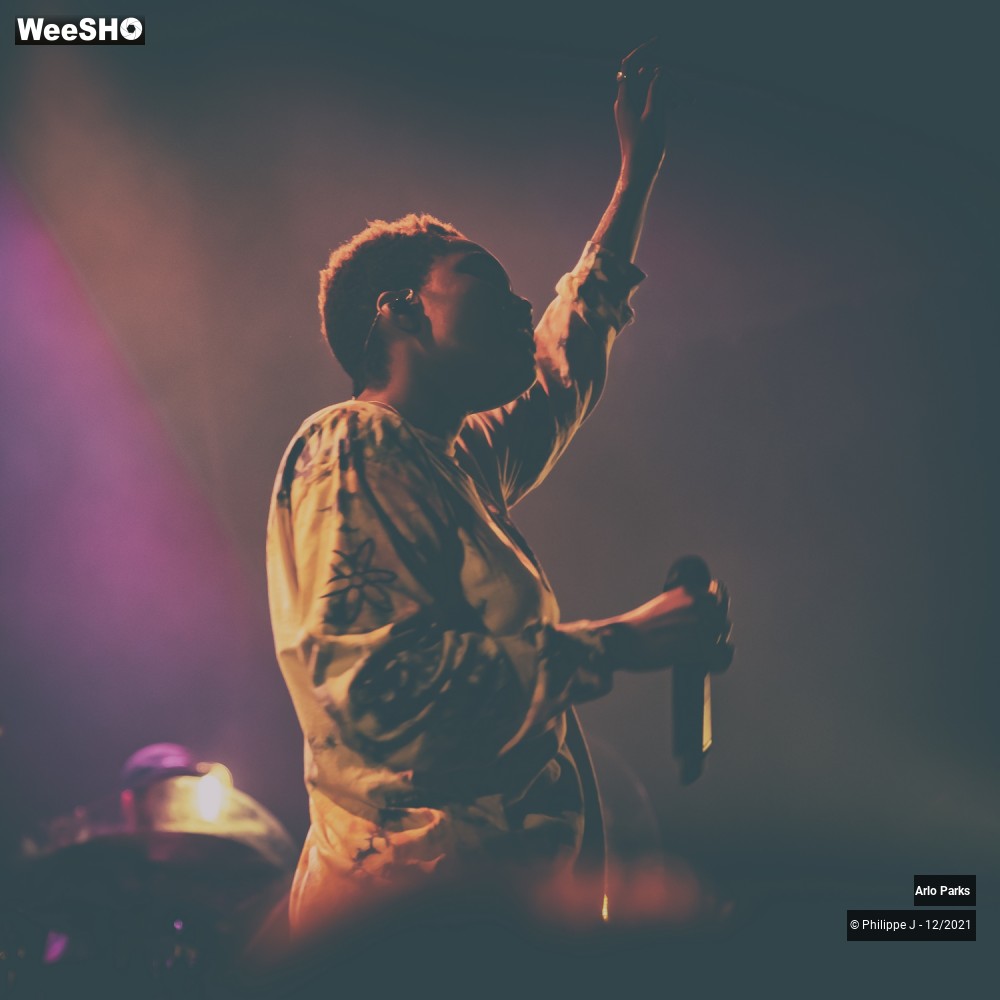 27/30 photos du spectacle Arlo Parks