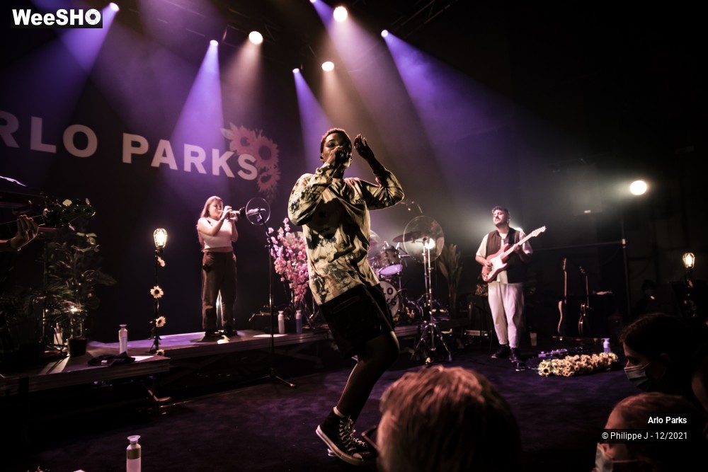 28/30 photos du spectacle Arlo Parks