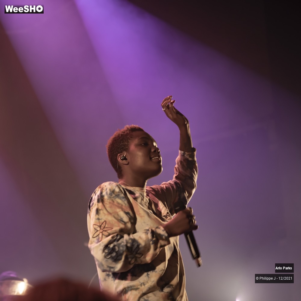 29/30 photos du spectacle Arlo Parks