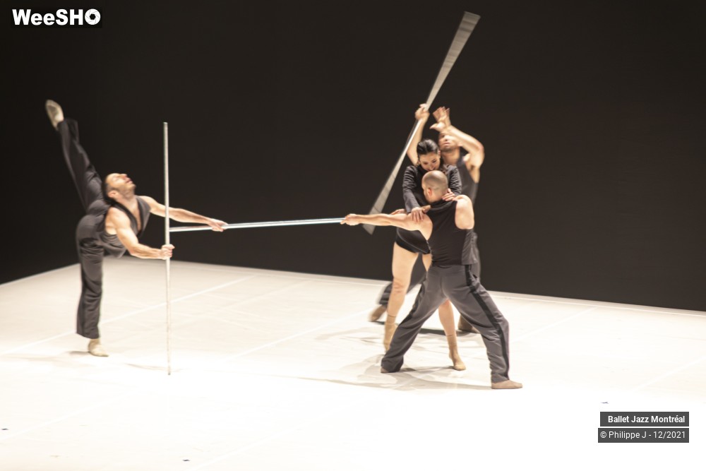 34/73 photos du spectacle Dance Me