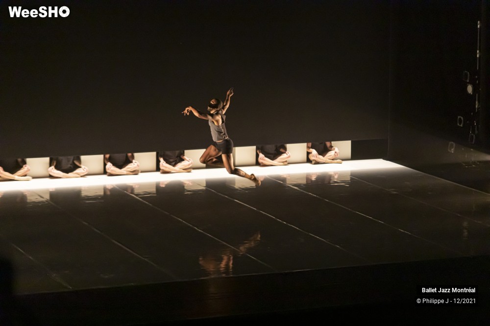 36/73 photos du spectacle Dance Me