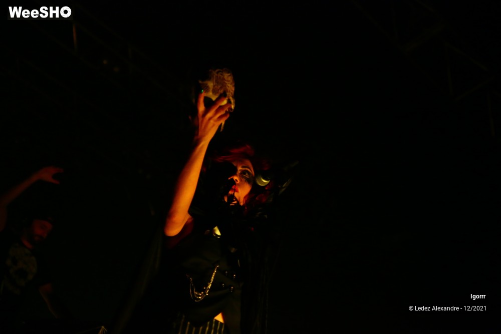 17/25 photos du spectacle Igorrr