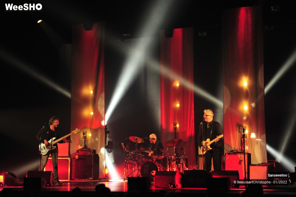 5/54 photos du spectacle Sanseverino