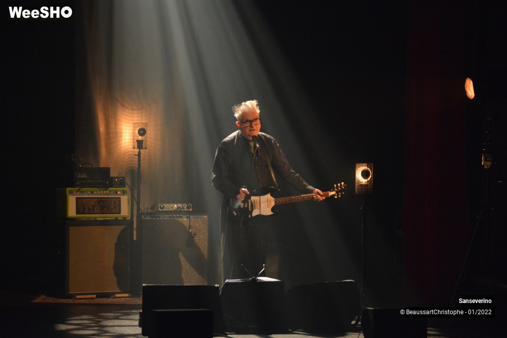 7/54 photos du spectacle Sanseverino