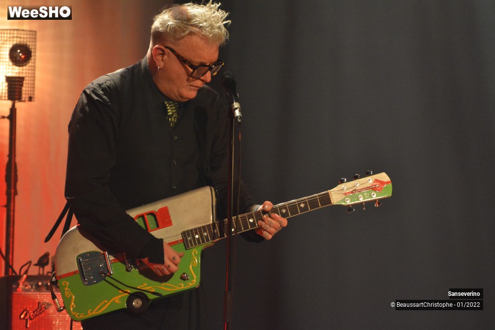 50/54 photos du spectacle Sanseverino
