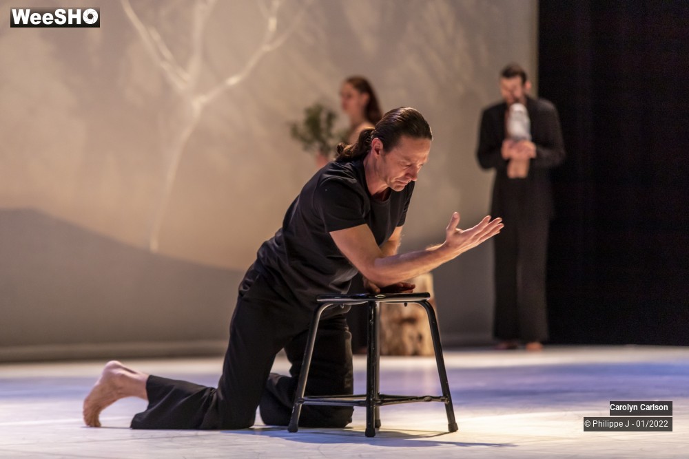 1/53 photos du spectacle The Tree