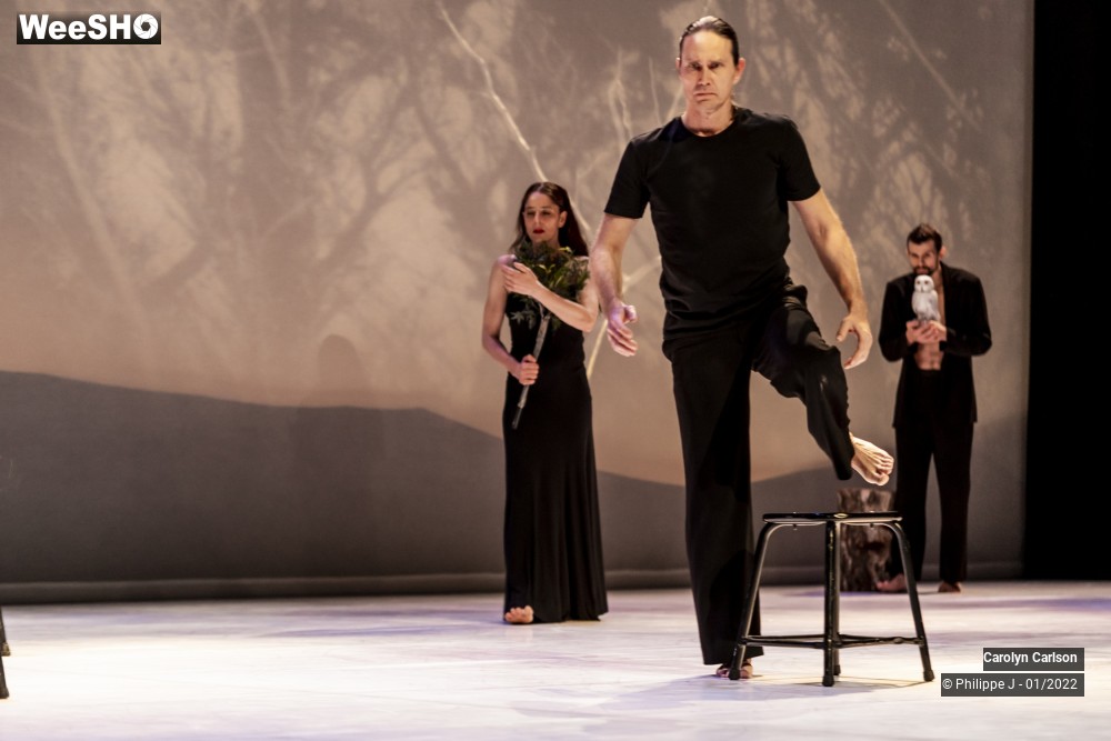 2/53 photos du spectacle The Tree