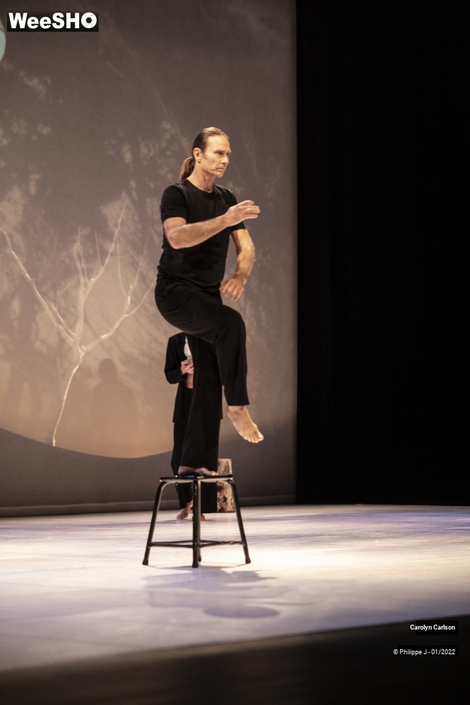 3/53 photos du spectacle The Tree