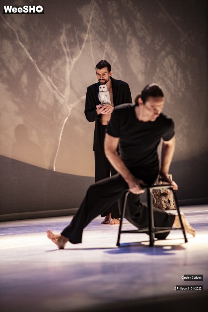 4/53 photos du spectacle The Tree