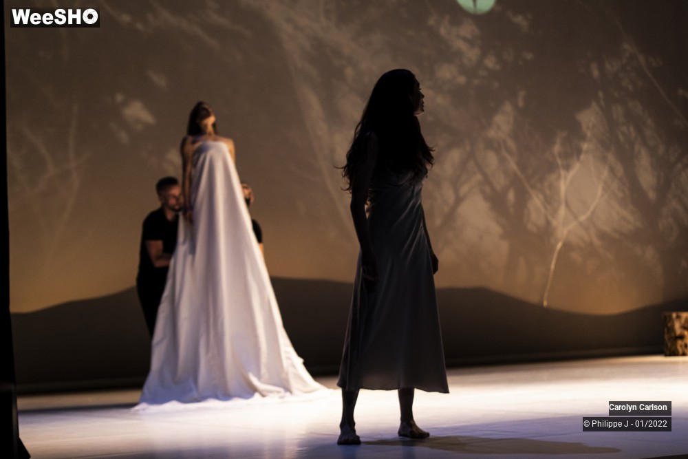 6/53 photos du spectacle The Tree