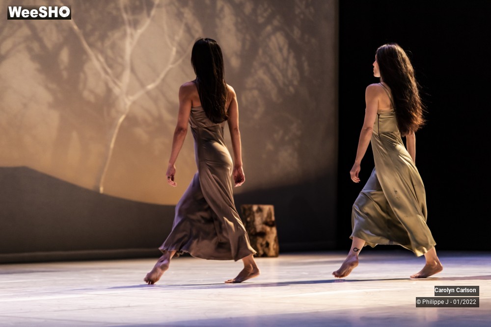 7/53 photos du spectacle The Tree