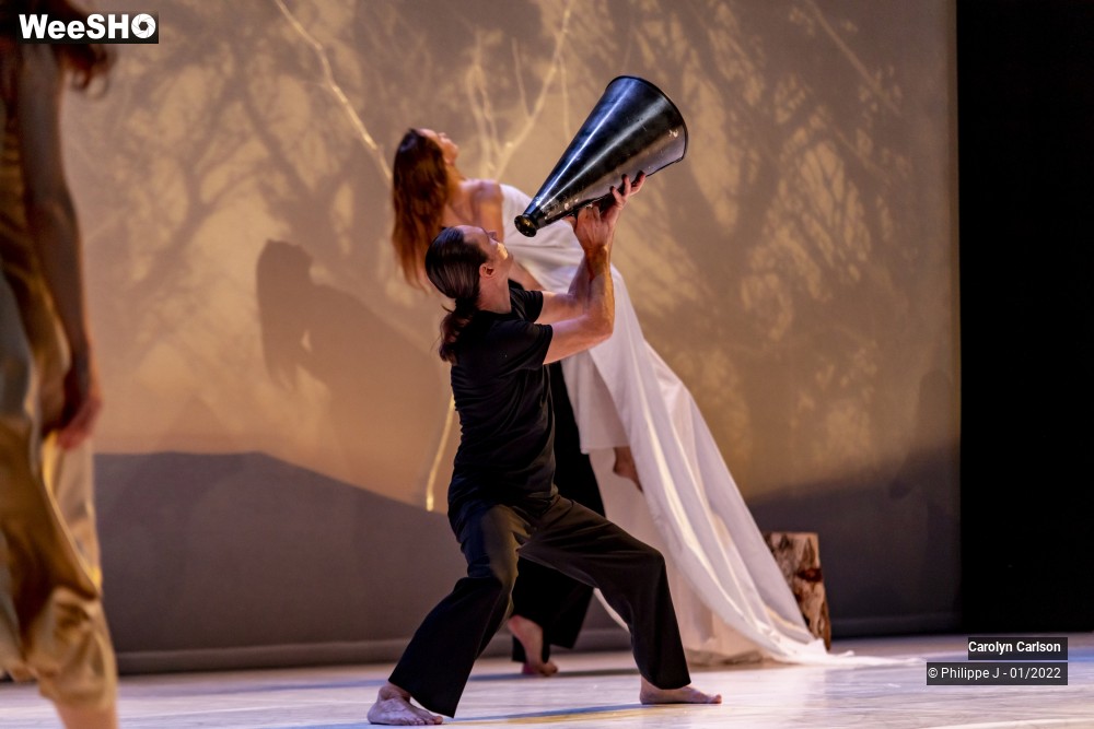 9/53 photos du spectacle The Tree