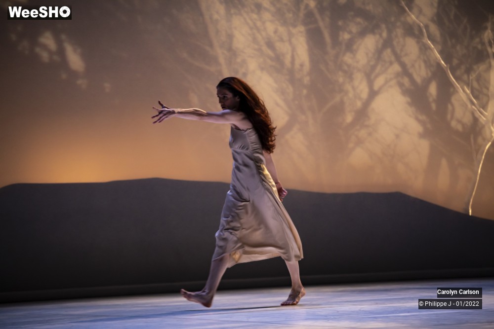 10/53 photos du spectacle The Tree