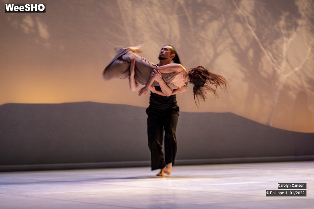 15/53 photos du spectacle The Tree