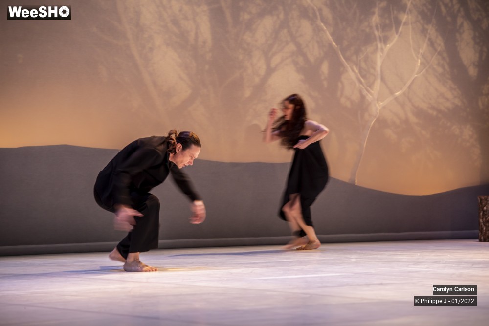 16/53 photos du spectacle The Tree