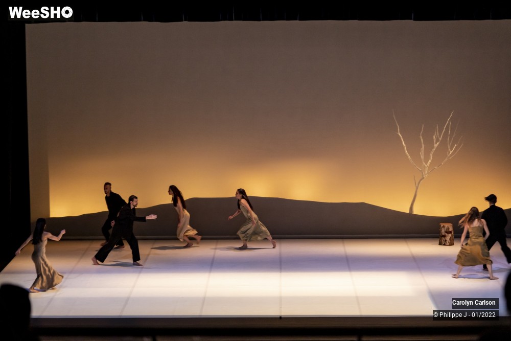 17/53 photos du spectacle The Tree